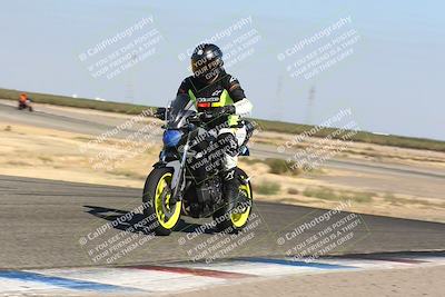 media/Oct-14-2024-Lets Ride (Mon) [[58c2a74f16]]/C Group/240pm (Wheelie Bump)/